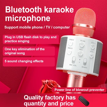WS858 prenosné bluetooth karaoke bezdrôtový profesionálny reproduktor 2 v 1, multifunkčný bezdrôtový mikrofón a reproduktor